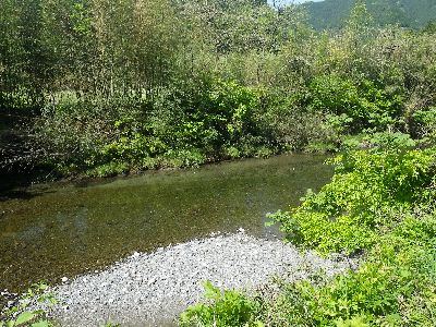 2013GW 清流巡り