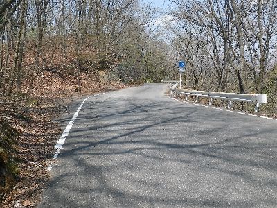 2013GW 清流巡り