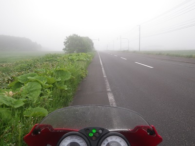 DUCATi Monster