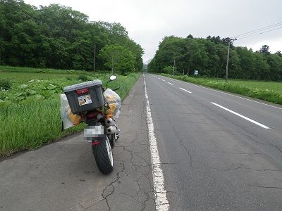 DUCATi Monster