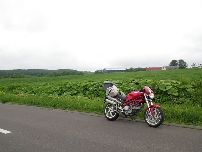 DUCATi Monster