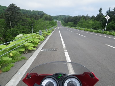 DUCATi Monster