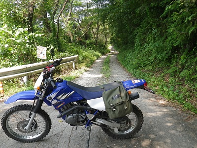 YAMAHA TTR125LWE