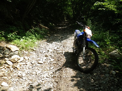 YAMAHA TTR125LWE