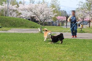津軽地球村