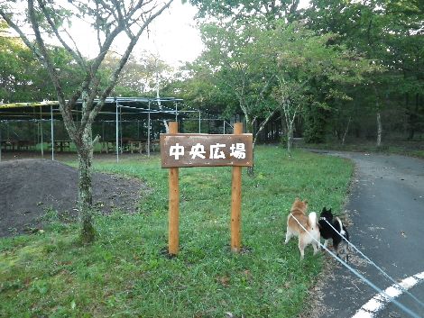 榛名湖オートキャンプ場