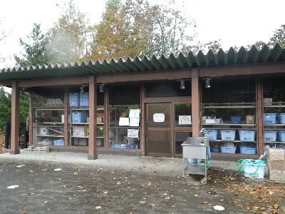 エコキャンプみちのく