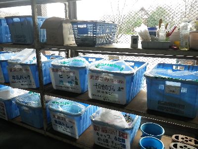 エコキャンプみちのく