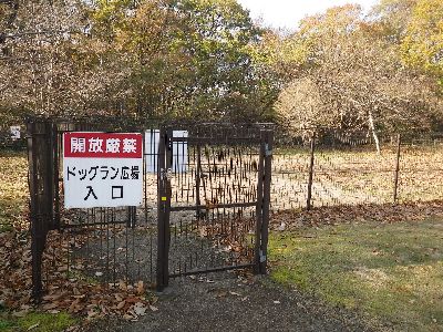 エコキャンプみちのく
