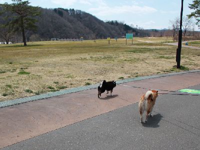 2013初キャンプ エコキャンプみちのく