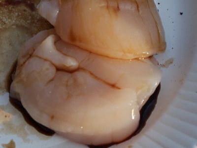 2013初キャンプ エコキャンプみちのく