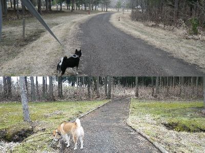 2013GW北東北 北欧の杜
