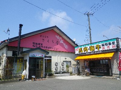 2013GW北東北 八竜