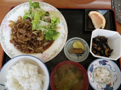 2013GW北東北 八竜