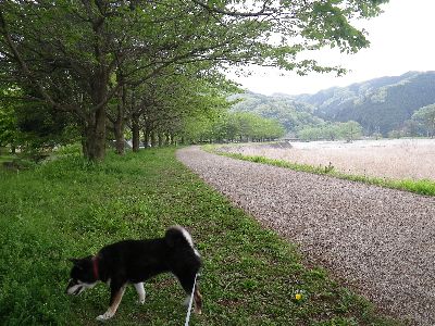 2013GW北東北 出会いの森