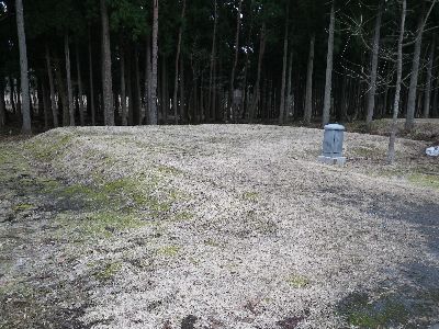 北欧の杜