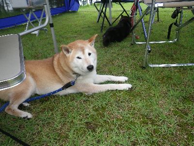2013夏キャンプ 徳良湖オートキャンプ場