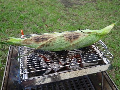 2013夏キャンプ 徳良湖オートキャンプ場