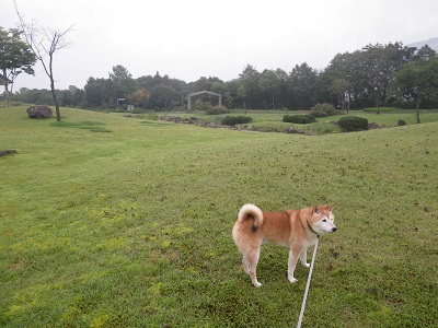 月山弓張平オートキャンプ場