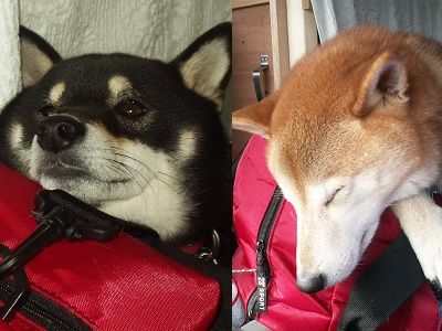 ハイエーストランポ