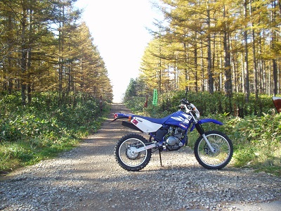 YAMAHA TTR125LWE