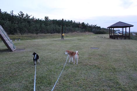 紫雲寺記念公園