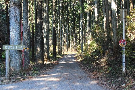 古賀志山 北関東 栃木