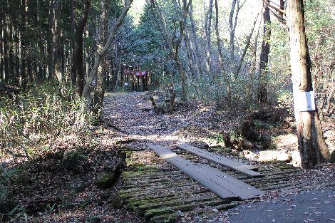古賀志山 北関東 栃木