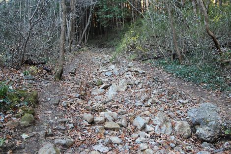 古賀志山 北関東 栃木