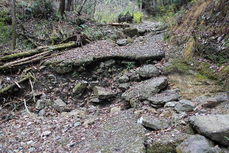 古賀志山 北関東 栃木