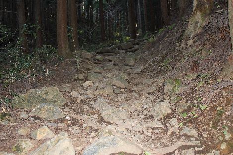 古賀志山 北関東 栃木