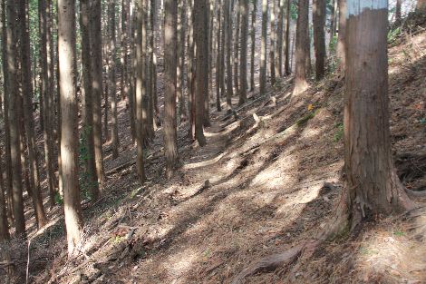 古賀志山 北関東 栃木