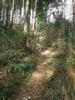 古賀志山 北関東 栃木