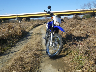 YAMAHA TTR125LWE