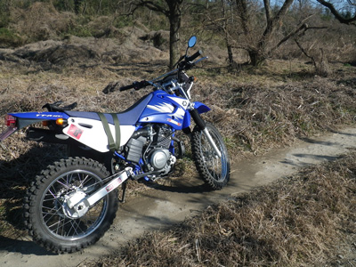 YAMAHA TTR125LWE