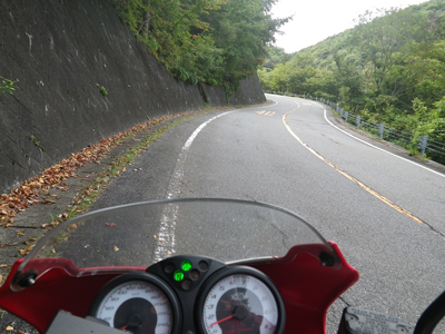 ducati monster