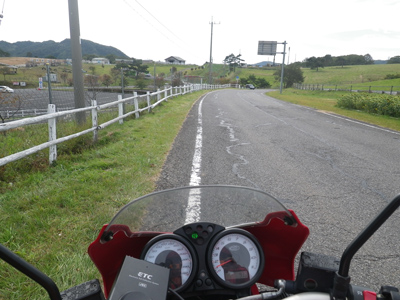 ducati monster