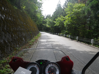 ducati monster