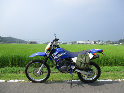 YAMAHA TTR125LWE