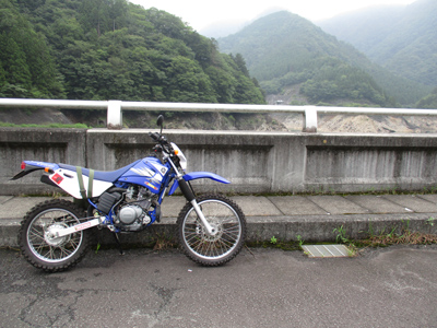 YAMAHA TTR125LWE