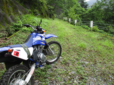 YAMAHA TTR125LWE