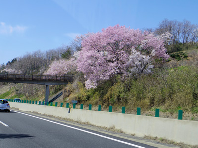 ハイエーストランポ