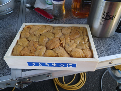 ハイエーストランポ