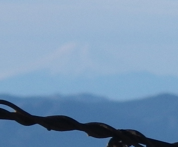 古賀志山