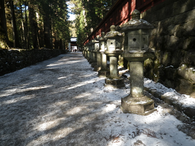 冬の日光