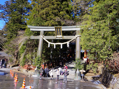 冬の日光