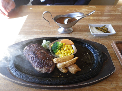 冬の日光