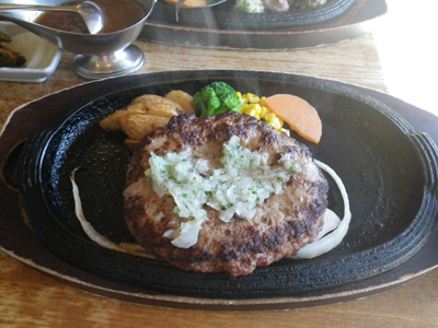 冬の日光