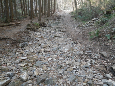 古賀志山