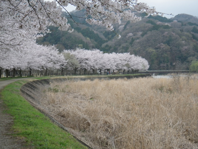 古賀志山